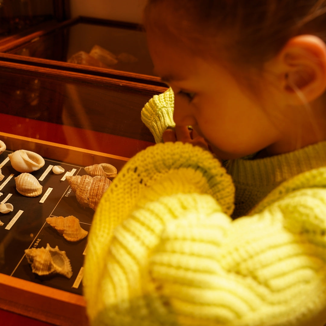 Pullover per bambina Koko Noko O56952